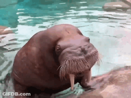 Cartoon Climbing Ladder Relax We'll Get There Soon GIF