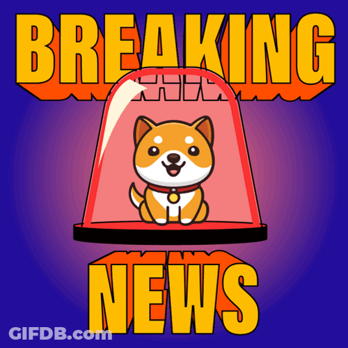 Cartoon Corgi Breakin News Alert GIF
