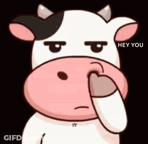 Cartoon Cow Covering Nose Saying Hey You GIF