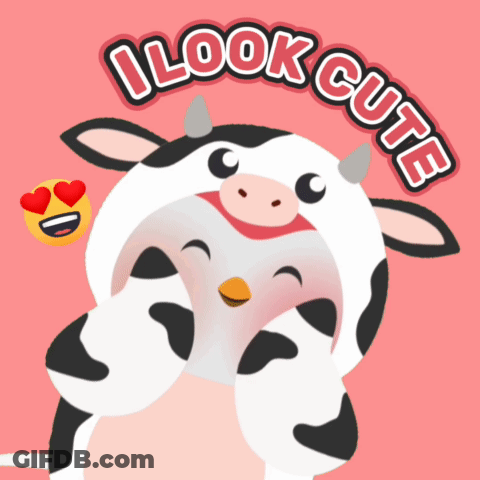 Cartoon Cow Saying I Look Cute GIF