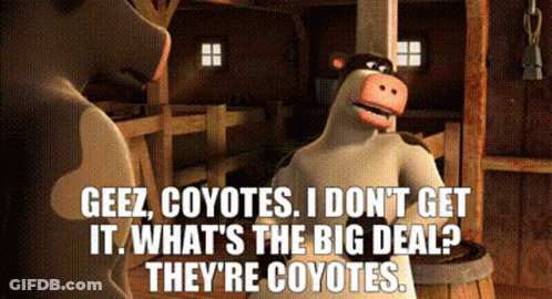Cartoon Cow Says Geez Coyotes What's The Big Deal GIF