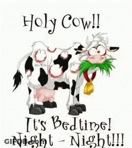 Cartoon Cow With Bell Saying Holy Cow It's Bedtime Night Night GIF