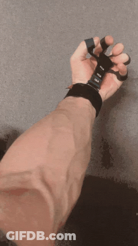 Cartoon Cow With Bell GIF