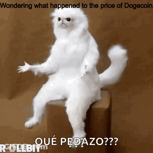 Cartoon Coyote Flying Over Cliff With Binoculars GIF