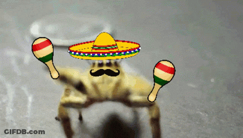 Cartoon Crab Wearing Sombrero Holding Maracas GIF