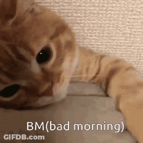 Cartoon Crocodile Not A Good Morning GIF