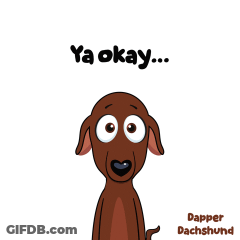 Cartoon Dachshund Eyes Closed Saying Ya Okay GIF