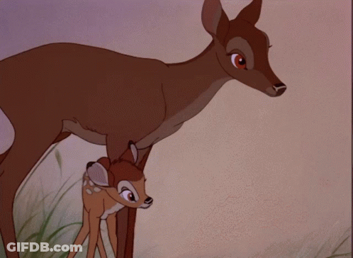 Cartoon Deer Standing Beside Chipmunk GIF