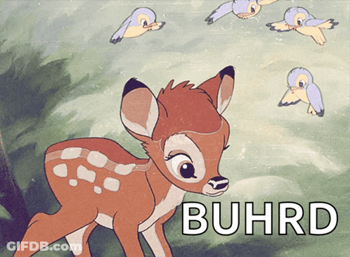 Cartoon Deer With Word Buhrd GIF