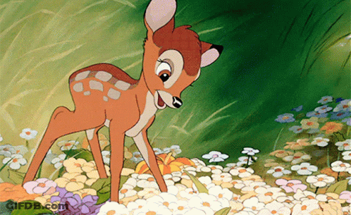 Cartoon Deer With Yellow Butterfly GIF