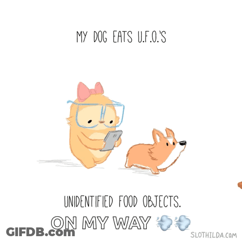 Cartoon Dog And Cat My Dog Eats U.F.O.'s GIF