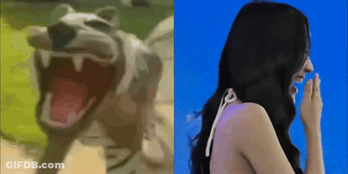Cartoon Dog And Woman Laughing GIF