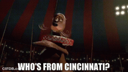Cartoon Dog Flying With Who's From Cincinnati GIF