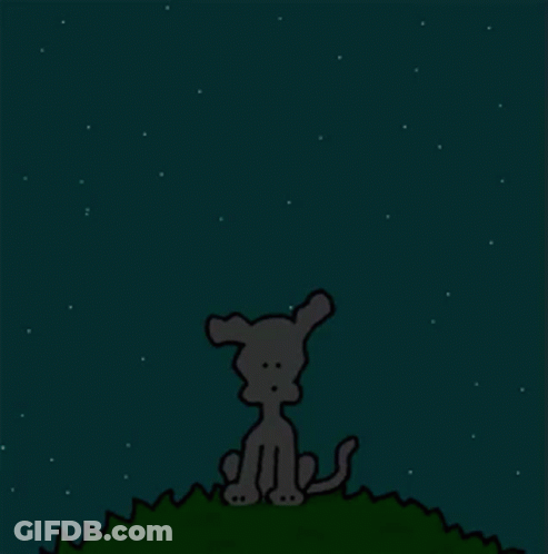 Cartoon Dog Holding Book Saying Good Morning GIF