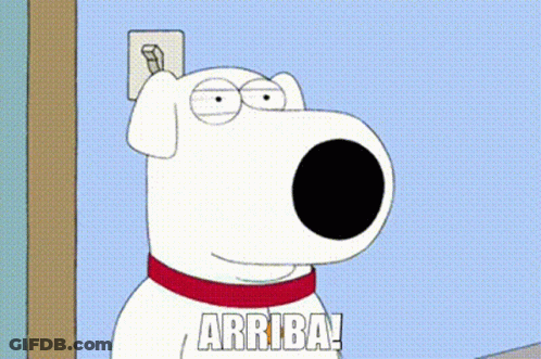 Cartoon Dog Holding Light Switch Says Arriba GIF