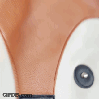Cartoon Dog Holding Sign With Chinese Writing GIF