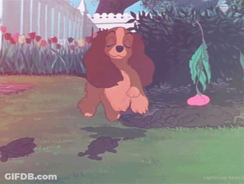 Cartoon Dog In Garden With Words Capturing Kawaii GIF