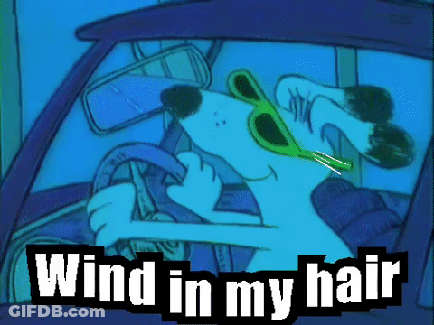 Cartoon Dog In Sunglasses Driving Saying Wind In My Hair GIF