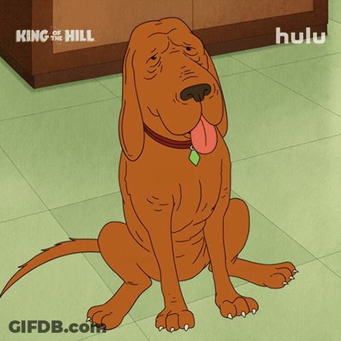 Cartoon Dog King Of The Hill GIF