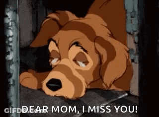 Cartoon Dog Laying In Cage Saying Dear Mom I Miss You GIF