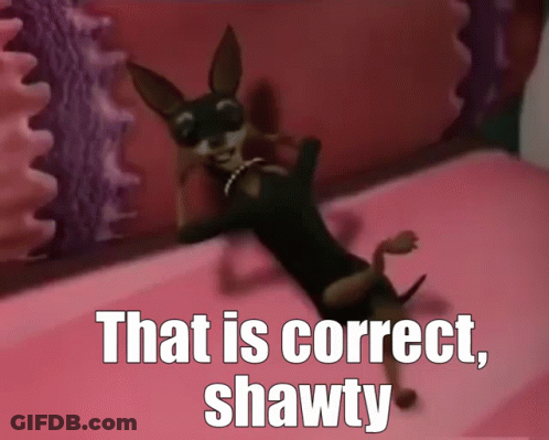 Cartoon Dog Laying On Bed Saying That Is Correct Shawty GIF