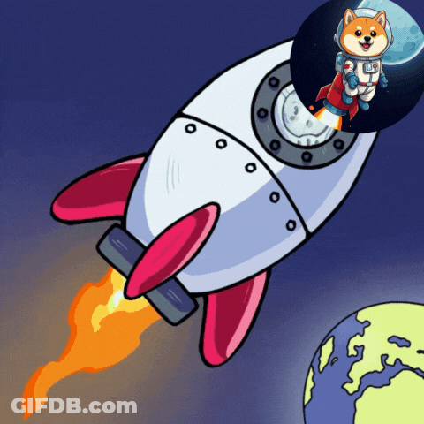 Cartoon Dog On Rocket With LS GIF