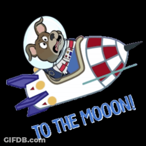 Cartoon Dog Riding Rocket To The Moon GIF