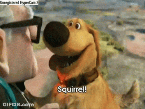 Cartoon Dog Saying Squirrel GIF