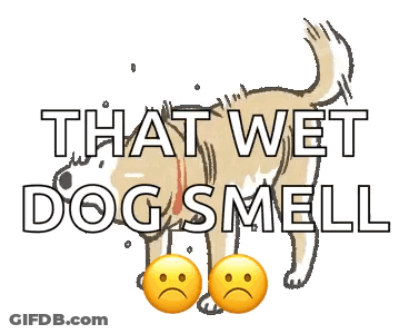 Cartoon Dog Saying That Wet Dog Smell GIF