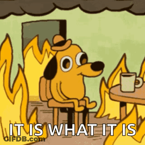Cartoon Dog Sitting By Fire It Is What It Is GIF