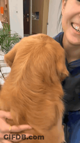 Cartoon Dog Sitting In Front Of Heart GIF