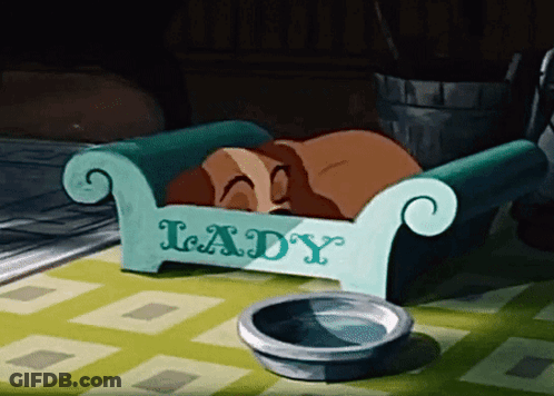 Cartoon Dog Sleeping In 'Lady' Bed GIF