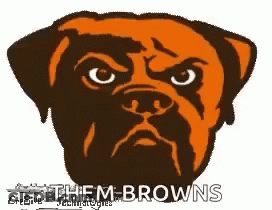 Cartoon Dog Wearing Football Helmet Saying Them Browns GIF