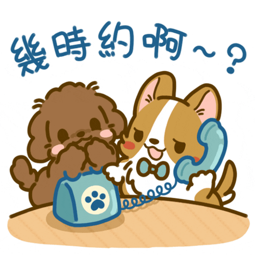 Cartoon Dog Welsh Corgi Phone Call GIF