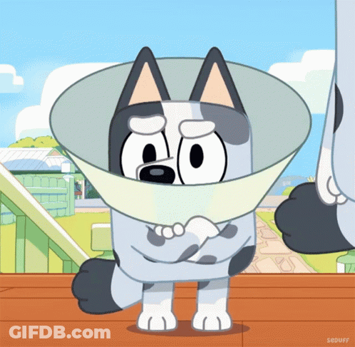 Cartoon Dog With Cone GIF