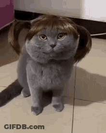 Cartoon Dog With Headphones And Helmet Riding Bike Saying Ride On GIF