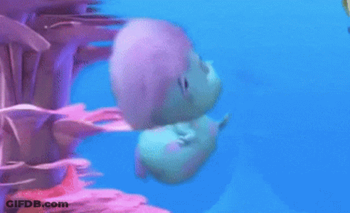 Cartoon Dolphin Swimming Near Coral GIF
