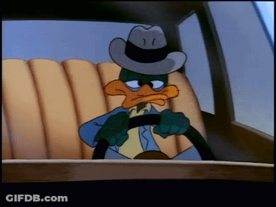 Cartoon Duck Driving Car With Hat GIF