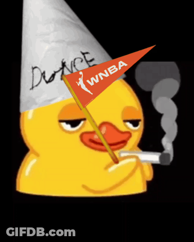 Cartoon Duck In Dunce Hat Smoking WNBA Flag GIF