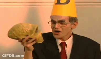 Cartoon Duck In Party Hat Holding Winbpa Flag GIF