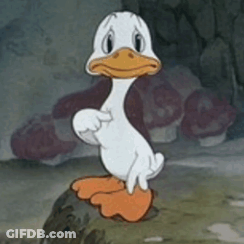 Cartoon Duck Pointing On Rock GIF