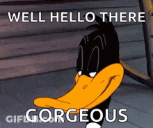 Cartoon Duck Saying Well Hello There Gorgeous GIF