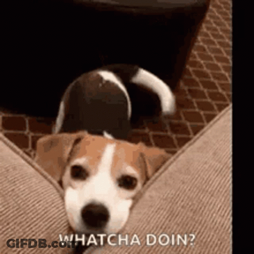 Cartoon Duck Saying Well Hello There Gorgeous GIF