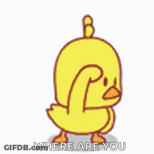 Cartoon Duck Scratching Head Asking Where Are You GIF