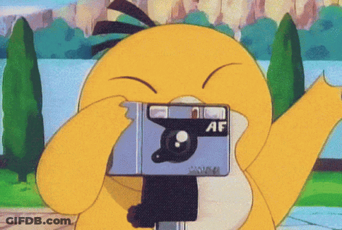 Cartoon Duck Taking Picture With Camera Saying AF GIF