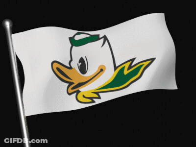 Cartoon Duck With Green Hat On Flag GIF