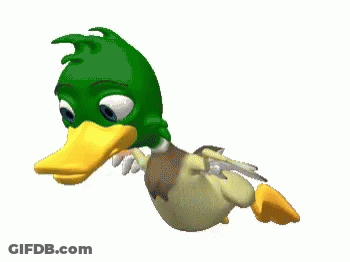 Cartoon Duck With Green Head And Yellow Beak GIF