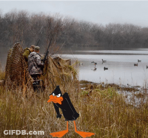 Cartoon Duck With Word Duck On Feet GIF
