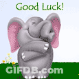 Cartoon Elephant Covering Face With Trunk Saying Good Luck GIF