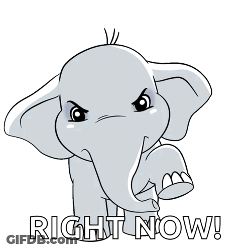 Cartoon Elephant Pointing Right Now GIF